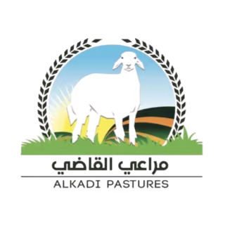 Partner logo: mraghi